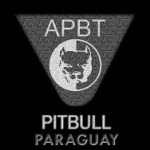 Imagen destacada del artículo «Congreso Internacional APBT 2012»